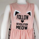Follow revolution Meaw (5)