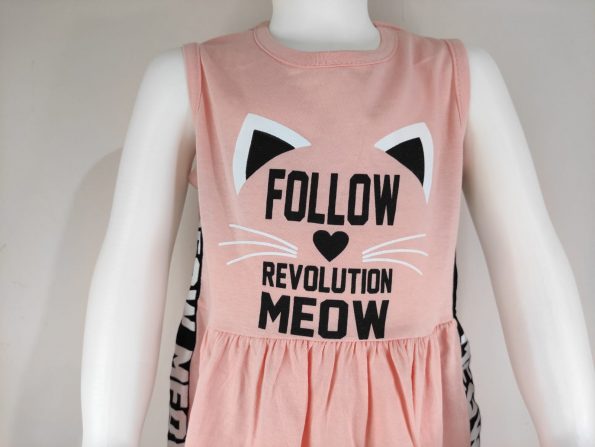 Follow revolution Meaw (1)
