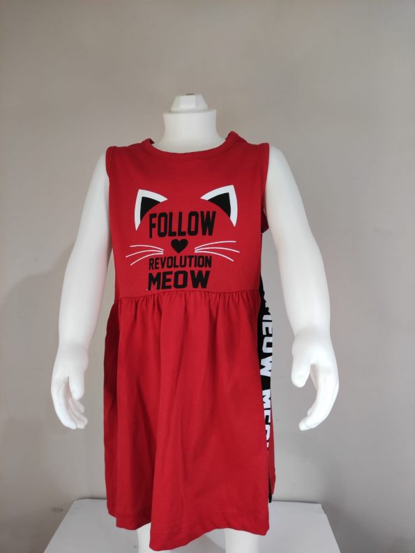 Follow revolution Meaw (3)
