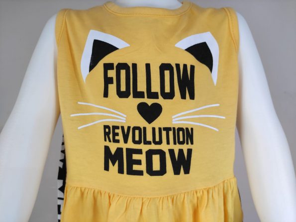 Follow revolution Meaw (5)