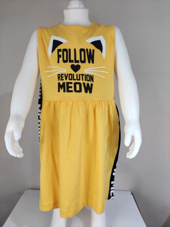Follow revolution Meaw (6)